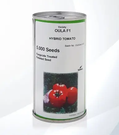 بذر گوجه فرنگی اولا