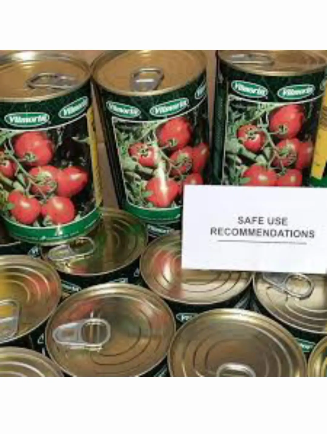 بذر گوجه ویلمورین