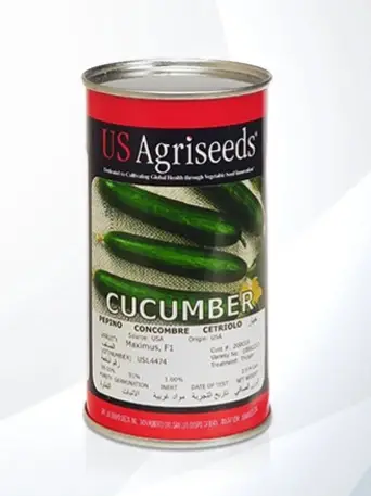 بذرخیار ماکسیموس