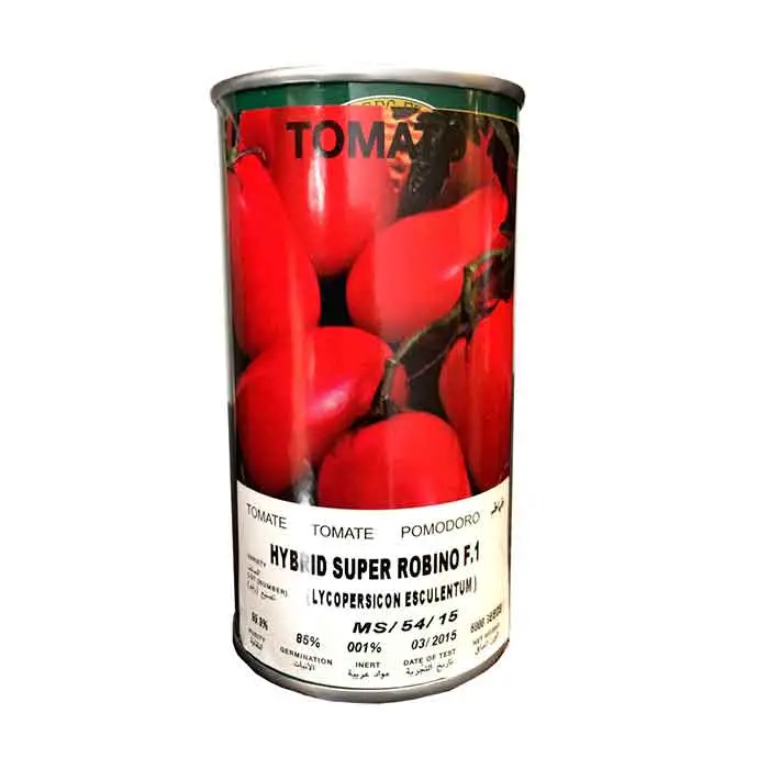 بذر گوجه سوپر روبینو مودستو