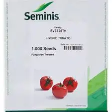 بذر گوجه فرنگی گلخانه ای 3725