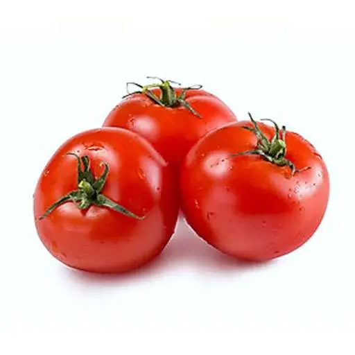 بذر گوجه فرنگی ساتیوو