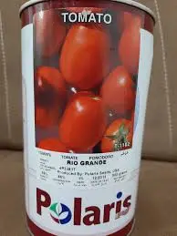 بذر گوجه فرنگی ریوگرند پولاریس