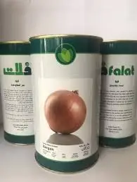 بذر پیاز طلایی زرگان فلات