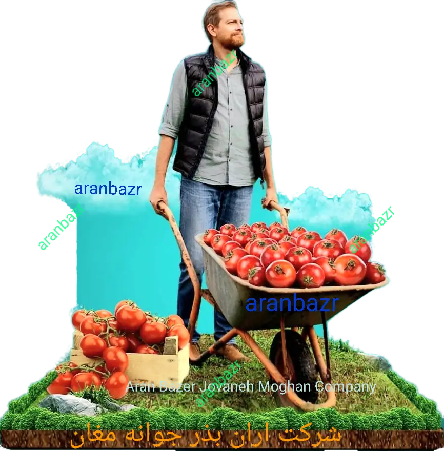 شرکت اران بذر