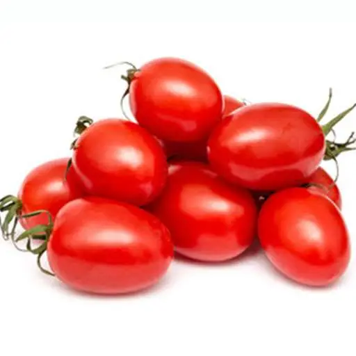 بهترین بذر گوجه