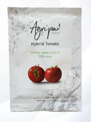 بذر گوجه 1012