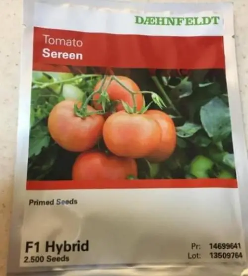 بذر گوجه فضای باز سرین