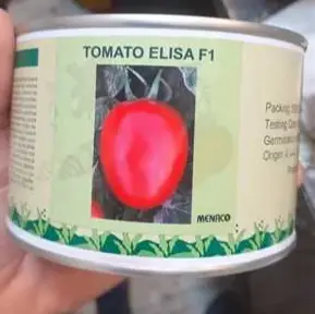 بذر گوجه فرنگی هیبرید الیسا