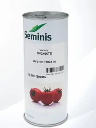 بذر گوجه‌ فرنگی 2466