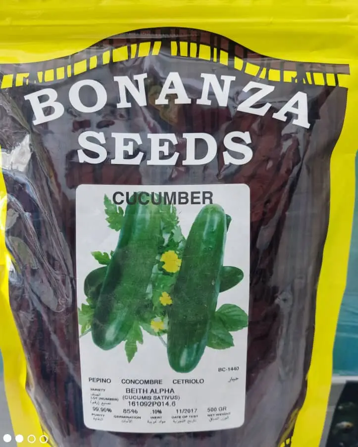 بذر خیار بونانزا امریکایی